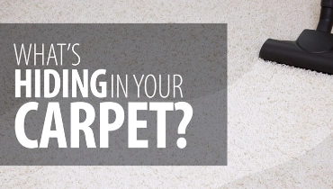 What’s Hiding in Your Carpet? blog banner