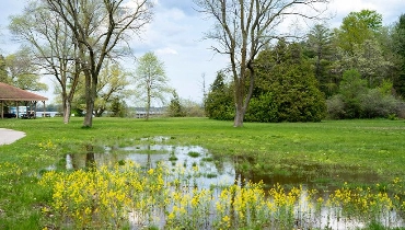 A floodplain is a low-lying area where a waterway may overflow. Learn about floodplain zones and the difference between a floodway and a floodplain.