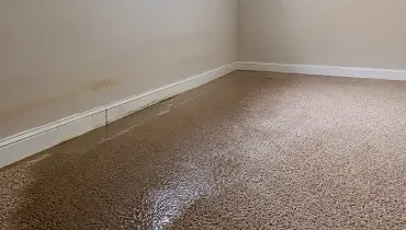 Floodwater soaking into basement carpet along a wall shows the kind of water intrusion Kingsport property owners may face after heavy rain.