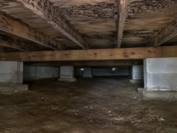 Dark mold staining covers the wooden joists above the damp dirt floor of an older Elizabethton home’s crawl space.
