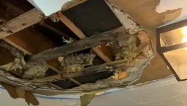 Water-damaged ceiling drywall collapsed in a Bristol home, exposing wet insulation and framing caused by hidden moisture and potential mold growth.