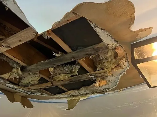 Water-damaged ceiling drywall collapsed in a Bristol home, exposing wet insulation and framing caused by hidden moisture and potential mold growth.