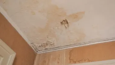 Water stains spread across a ceiling and down a wall, showing visible signs of water damage inside a home.