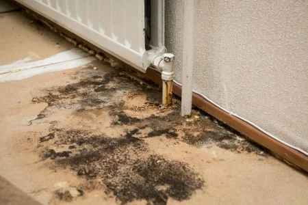 Mold on the floor by a pipe.