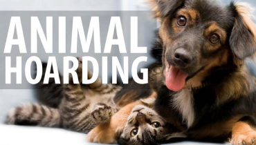 Animal Hoarding blog banner