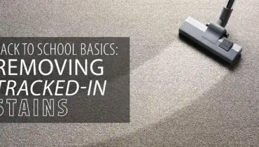 Back to School Basics: Removing Tracked-in Stains.