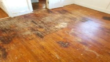 A wooden floor with white walls and open doors.