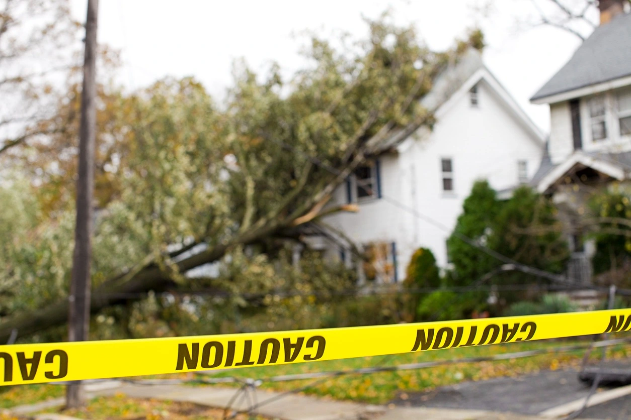 Caution tape warning of a tree that has fallen on a house
