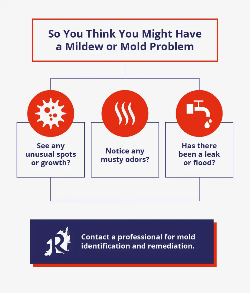 Contact a professional for mold identification and remediation.
