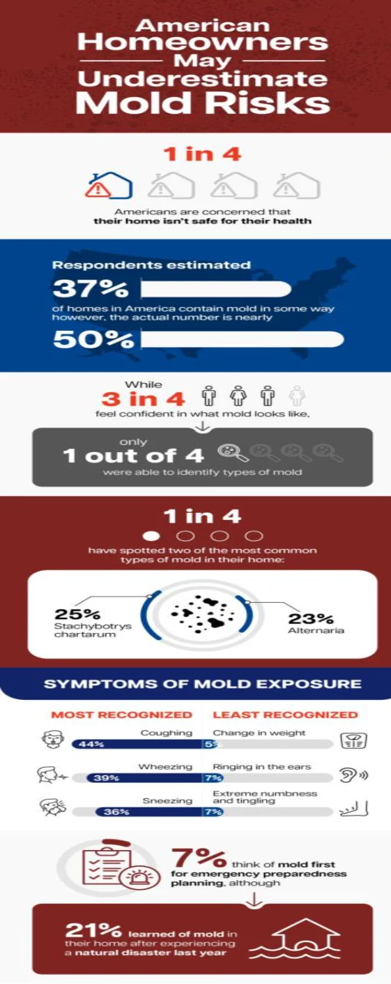 Most homeowners don&rsquo;t recognize common types of mold in their homes. (infographic)
