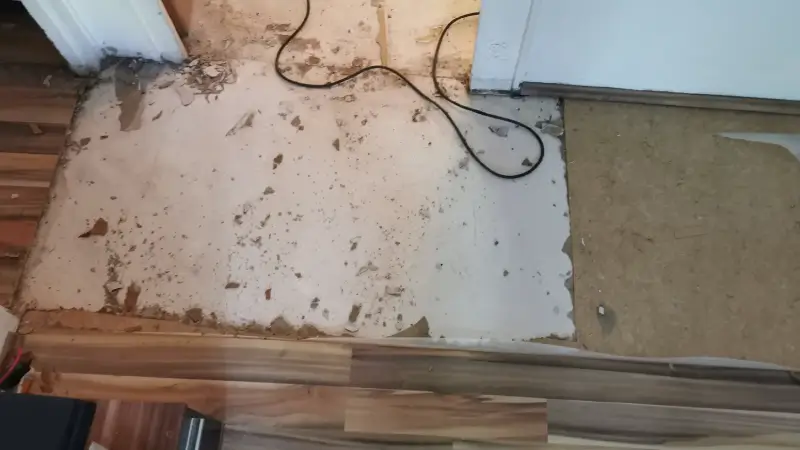 Mold under carpeting.