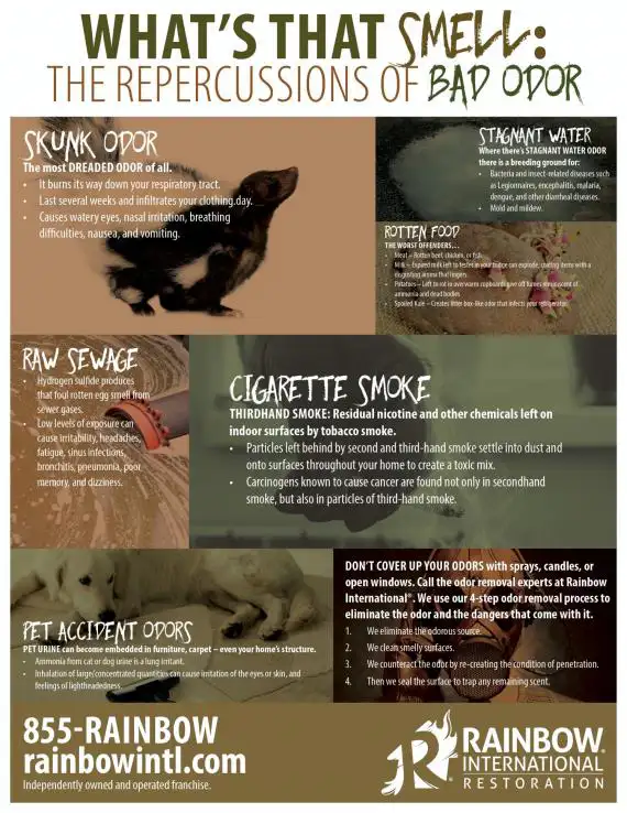 smell repercussions
