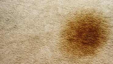 Reappearing carpet stains are often caused by soiling and wicking. Learn how to keep stains at bay and how to stop stains from reappearing after carpet cleaning.