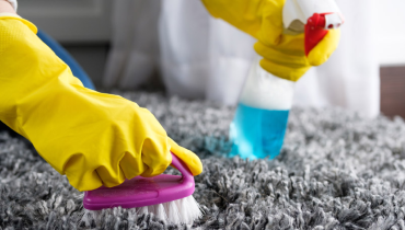  A closeup of a person wearing yellow rubber gloves scrubbing a gray carpet clean with one hand and holding a bottle of blue cleaner in the other hand.