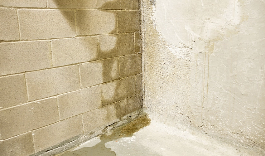Stop basement leaks and floods with basement waterproofing. Read on to learn how to waterproof a basement and how much it costs to waterproof a basement.