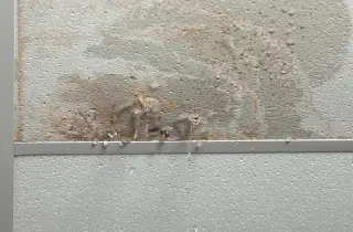 Uh-oh, is your basement ceiling wet? Basement water damage can be caused by a number of problems. Learn what is causing water damage to your basement ceiling.
