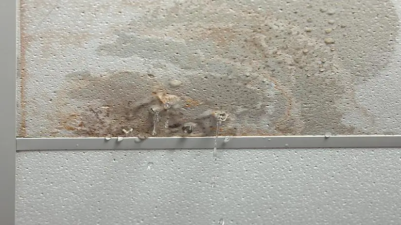 Uh-oh, is your basement ceiling wet? Basement water damage can be caused by a number of problems. Learn what is causing water damage to your basement ceiling.