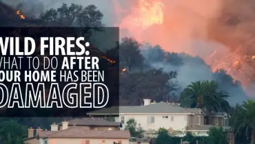 Wild fires.