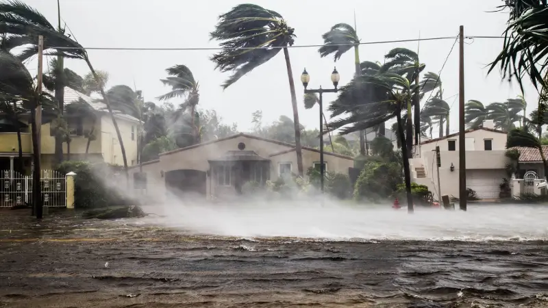 A hurricane breaking land with heavy rains and wind.